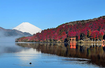 箱根の紅葉2017 見頃時期 そんな箱根の紅葉、例年と比べ2017年はどうなんでしょう?