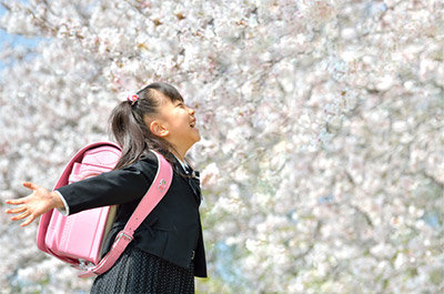 2017年の東京の桜はいつ咲く 開花予想は? 開花日が3月23日、満開日が3月29日