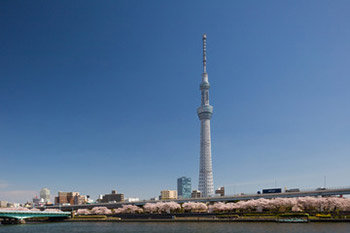 隅田公園
