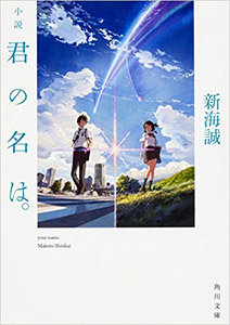 公式ビジュアルガイド