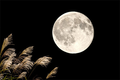 「中秋の名月」の意味は、「秋の真ん中に出る満月」です。